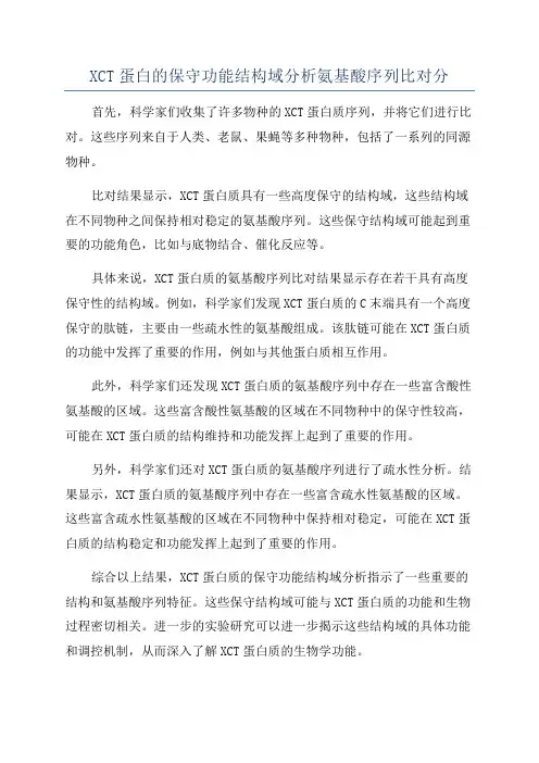 XCT蛋白的保守功能结构域分析氨基酸序列比对分