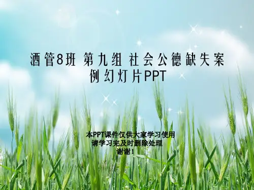酒管8班 第九组 社会公德缺失案例幻灯片PPT