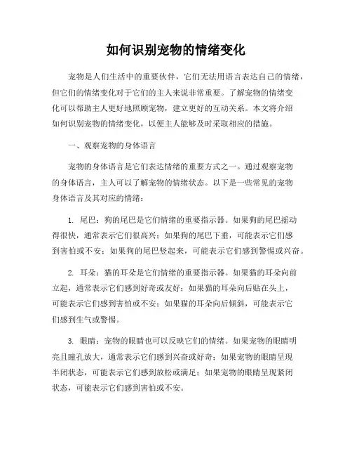 如何识别宠物的情绪变化