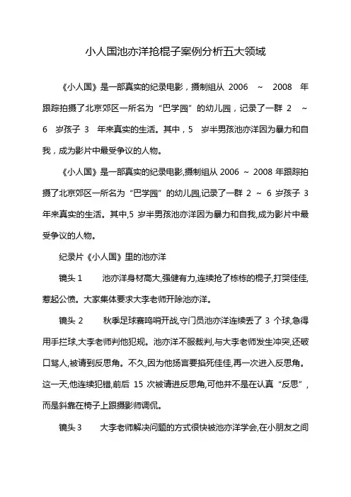 小人国池亦洋抢棍子案例分析五大领域