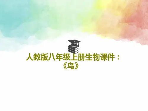人教版八年级上册生物课件：《鸟》22页PPT