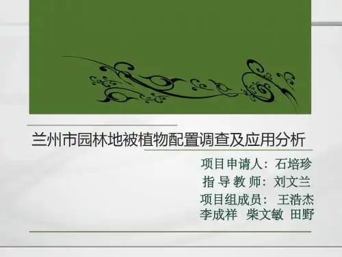 SRTP中期考核展示