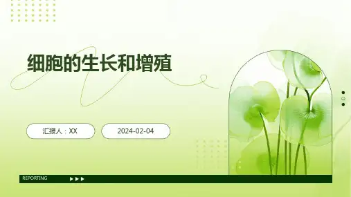 细胞的生长和增殖