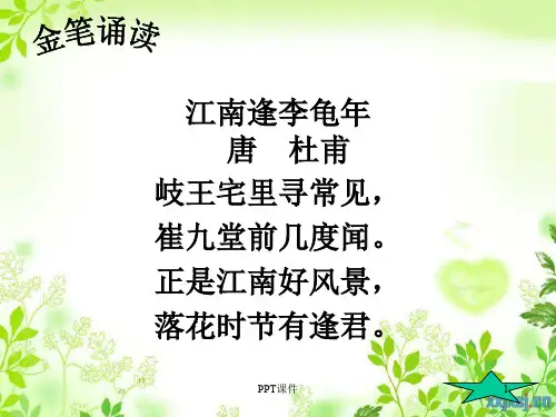 连续观察日记  ppt课件