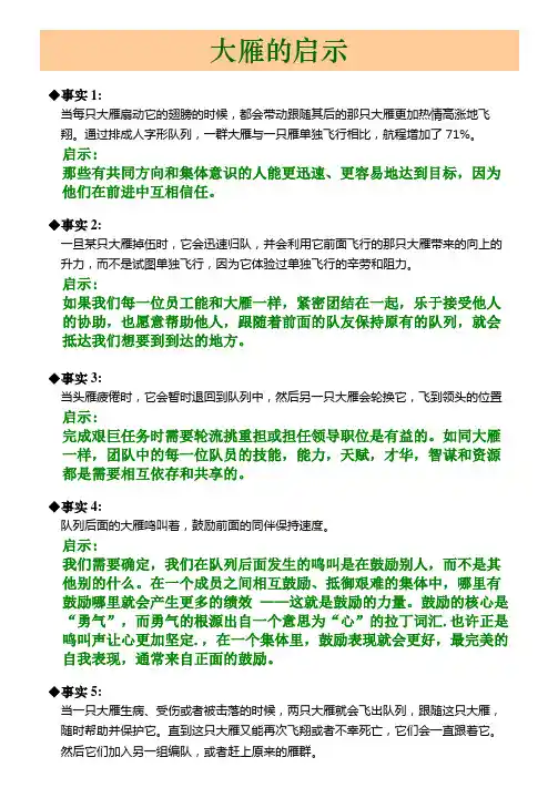 大雁的启示