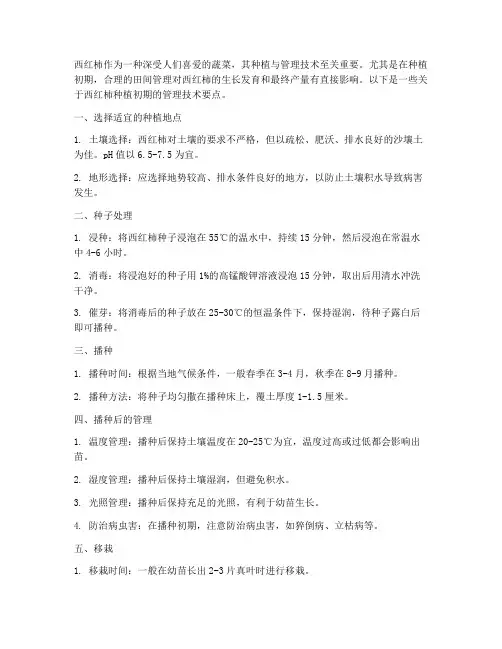 种植西红柿初期管理技术