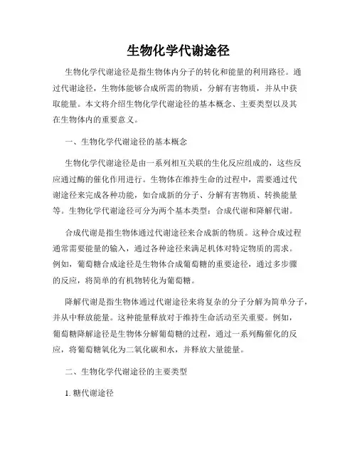 生物化学代谢途径