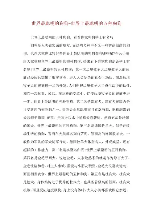 世界最聪明的狗狗-世界上最聪明的五种狗狗