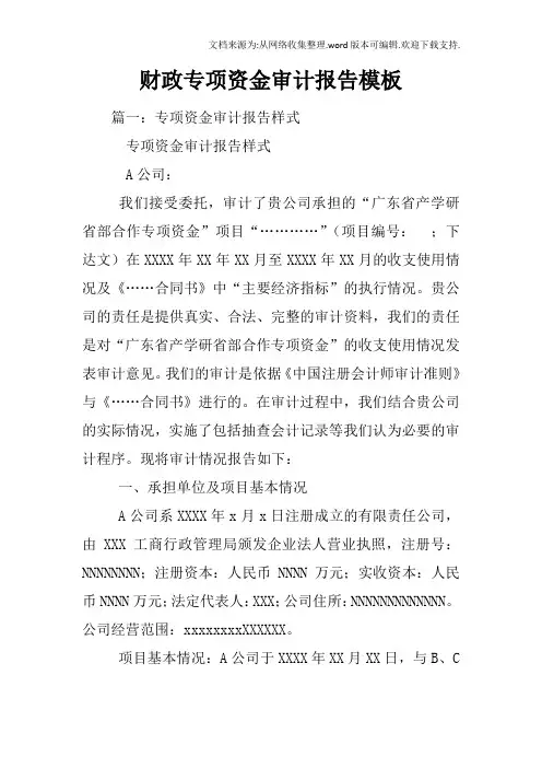 财政专项资金审计报告模板