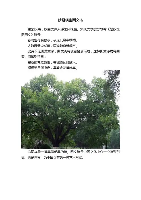 妙趣横生回文诗