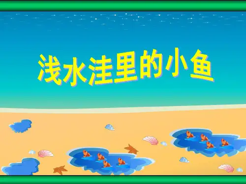 浅水洼里的小鱼公开课-课件-一等奖