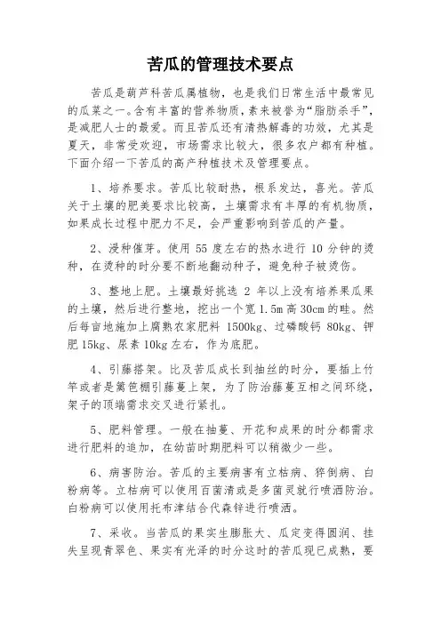 苦瓜的管理技术要点