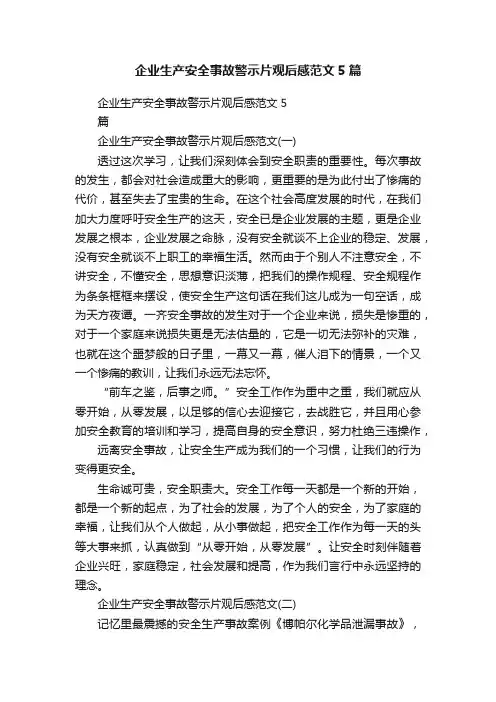 企业生产安全事故警示片观后感范文5篇