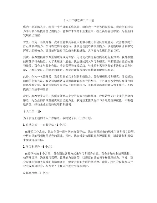 个人工作愿景和工作计划
