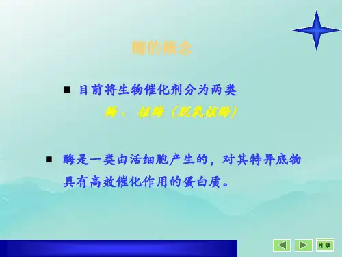 生化课件第三章酶
