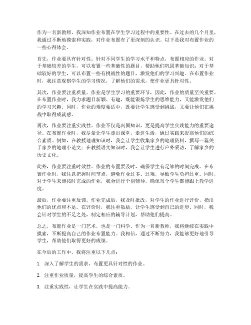 新教师布置作业心得体会
