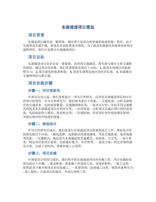 东湖通道项目策划