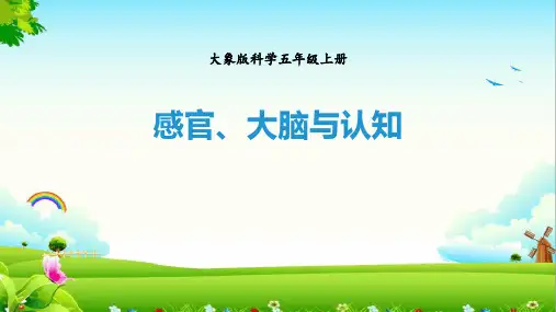 大象版五年级科学上册 (感官、大脑与认知)新课件