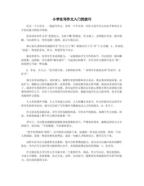 小学生写作文入门的技巧