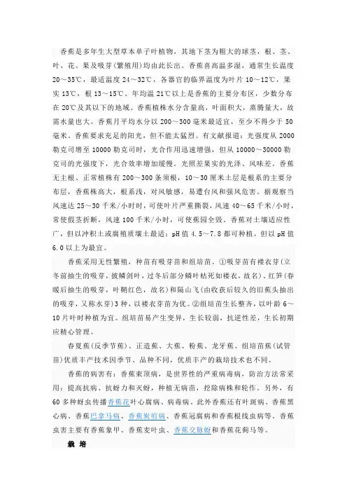香蕉知识