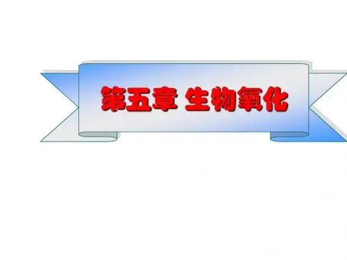 第五章 生物氧化
