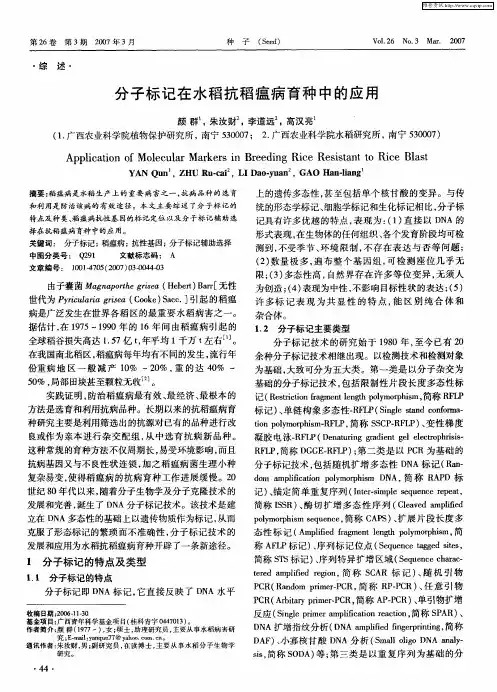 分子标记在水稻抗稻瘟病育种中的应用