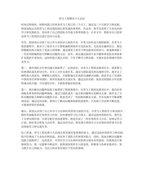 青马工程期末个人总结