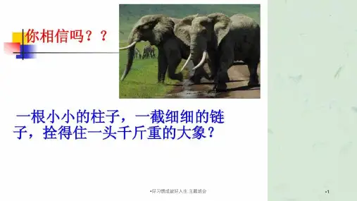 好习惯成就好人生主题班会