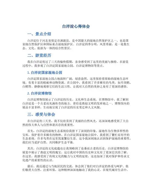 白洋淀心得体会