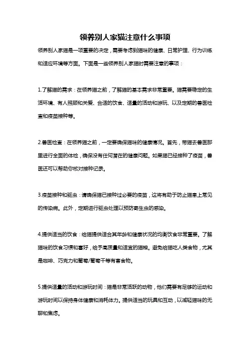 领养别人家猫注意什么事项