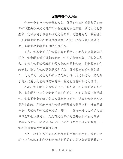 文物普查个人总结