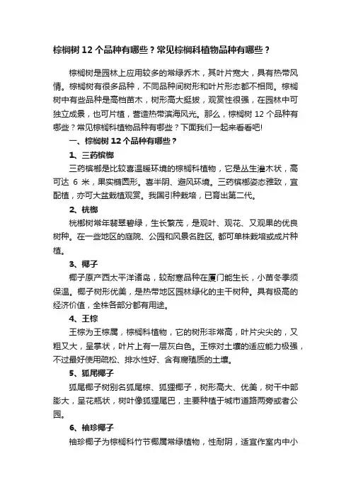 棕榈树12个品种有哪些？常见棕榈科植物品种有哪些？