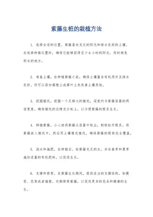 紫藤生桩的栽植方法