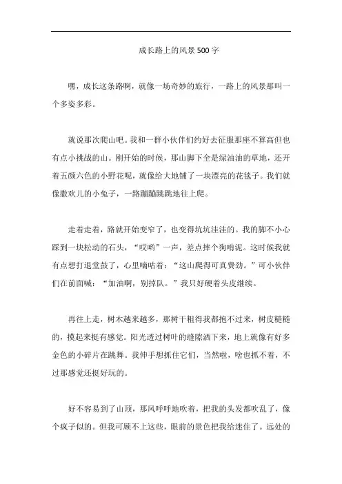 成长路上的风景500字