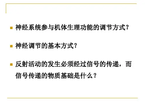 第4章 突触传递和突触活动的调节