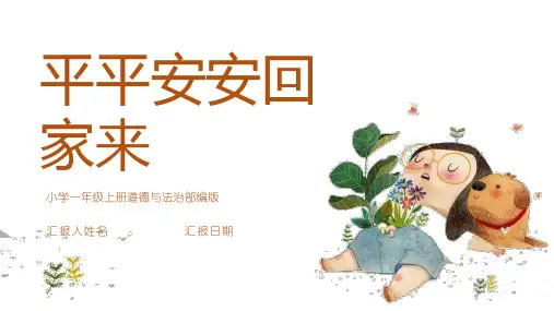 04《平平安安回家来》课件