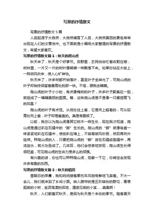 写景的抒情散文5篇