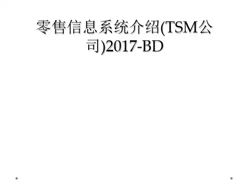 零售信息系统介绍(TSM公司)2017-BD
