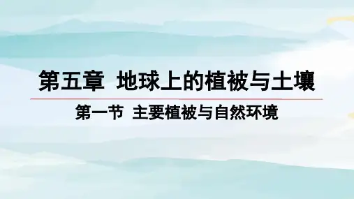 01-第一节 主要植被与自然环境高中地理必修第一册湘教版