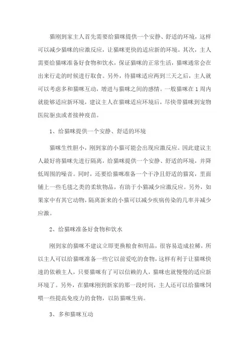 猫刚到家怎么适应新家