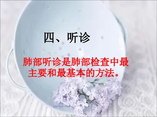 肺部听诊详解