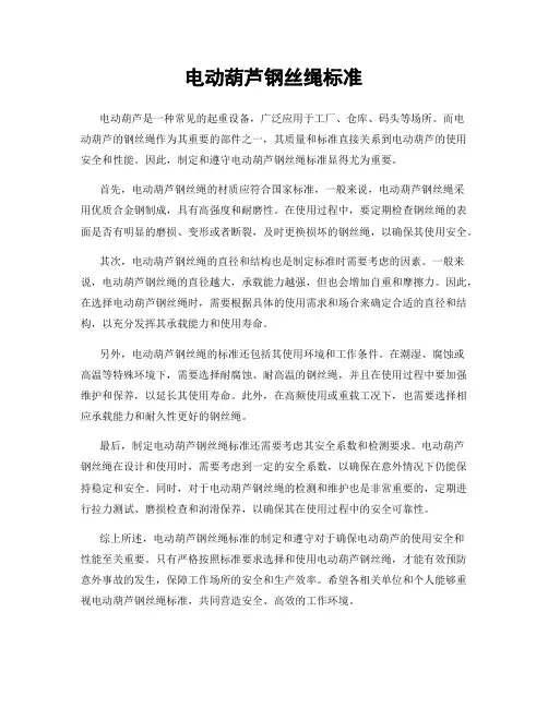 电动葫芦钢丝绳标准