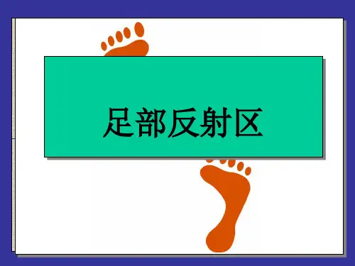 足部反射区健康法学习ppt课件