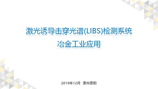 激光诱导击穿光谱(LIBS)检测系统冶金工业应用