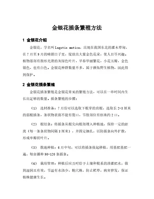 金银花插条繁殖方法