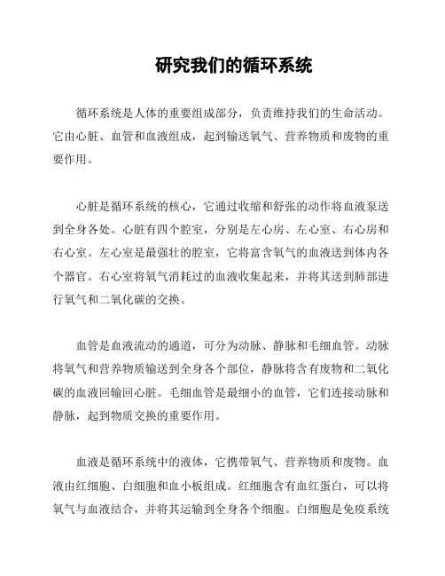 研究我们的循环系统
