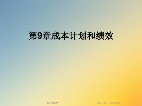 第9章成本计划和绩效