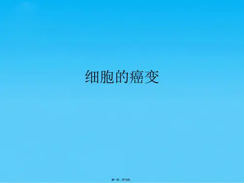 细胞的癌变(共15张PPT)