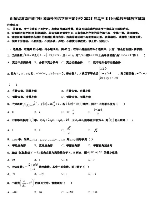 山东省济南市市中区济南外国语学校三箭分校2025届高三3月份模拟考试数学试题含解析