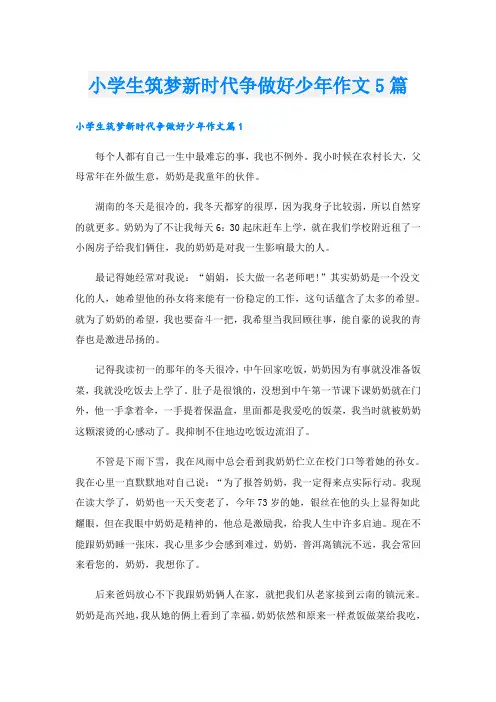 小学生筑梦新时代争做好少年作文5篇